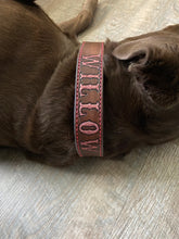 Load image into Gallery viewer, Leather Dog Collar